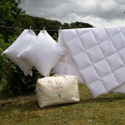 Organic care hovedpude - Ringsted Dun